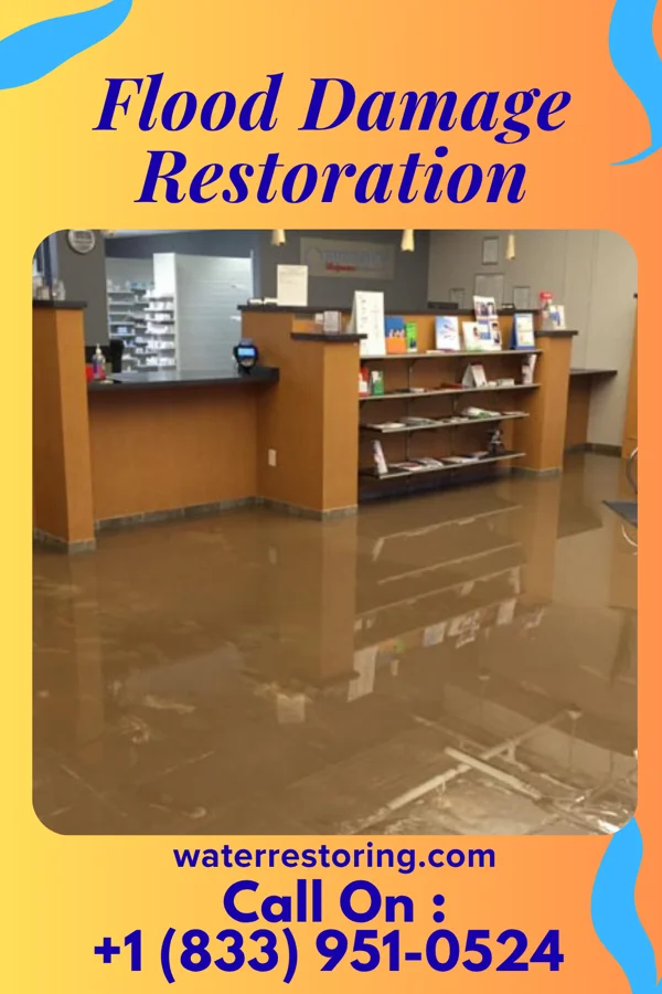Flood Damage Restoration in Fox Lake, MT
