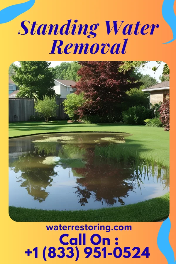 Standing Water Removal in Fox Lake, MT